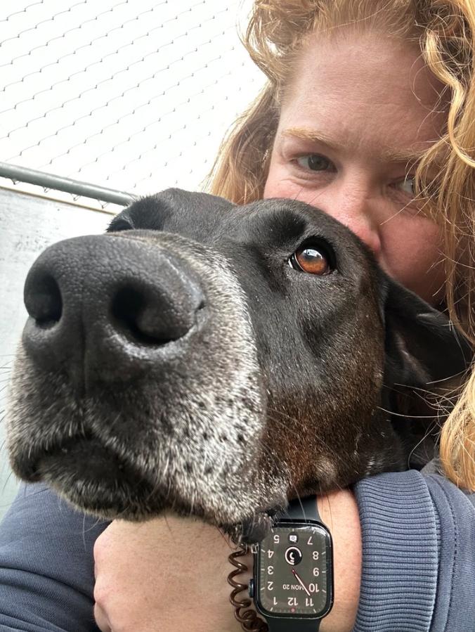 Trusty, a ADOPTABLE mixed breed in Davis, CA image 2/6