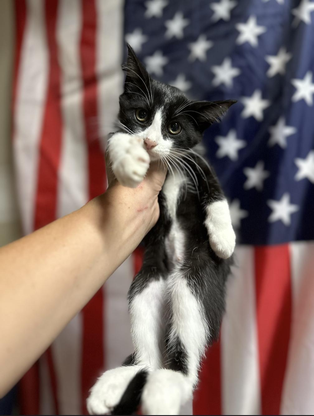TIPSY & KAHLUA