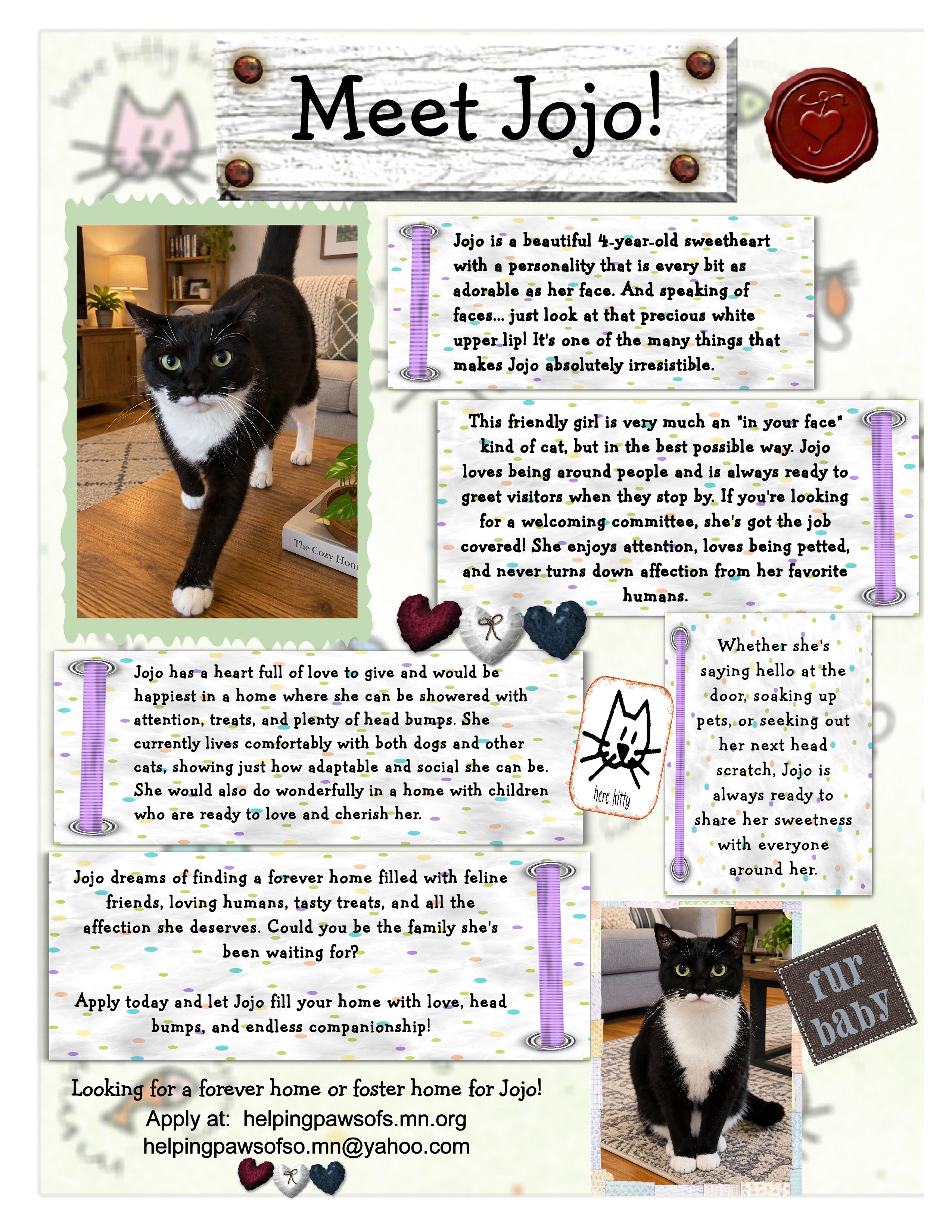 Enlarge JoJo, a Adoptable mixed breed in Owatonna, MN image 4/4