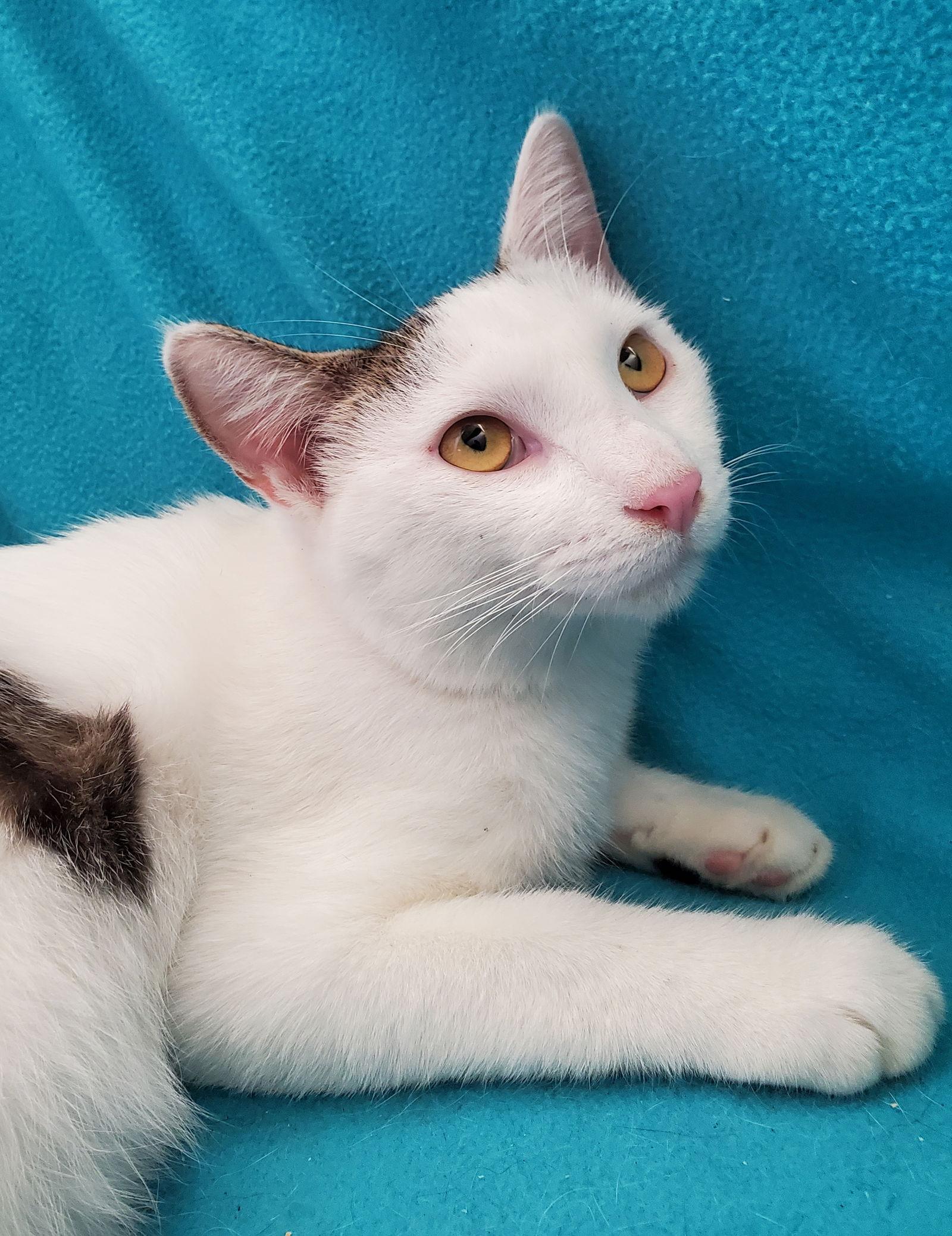 In Memory of Andy - He Was Loved! — thumbnail 2