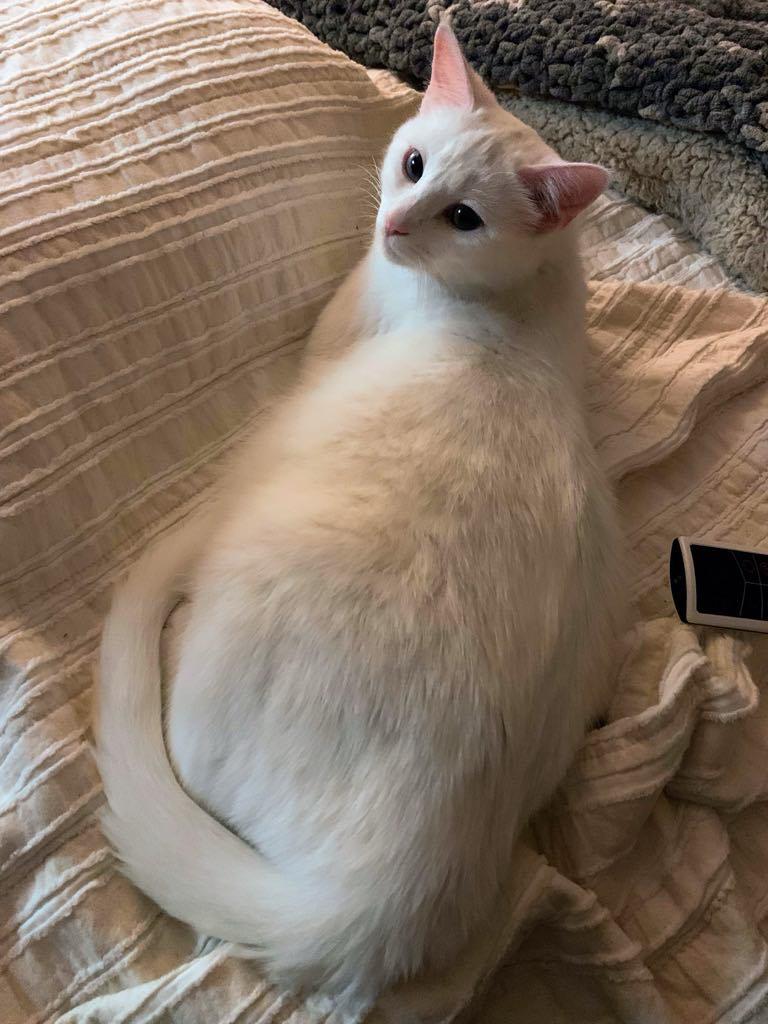 SAMMIE