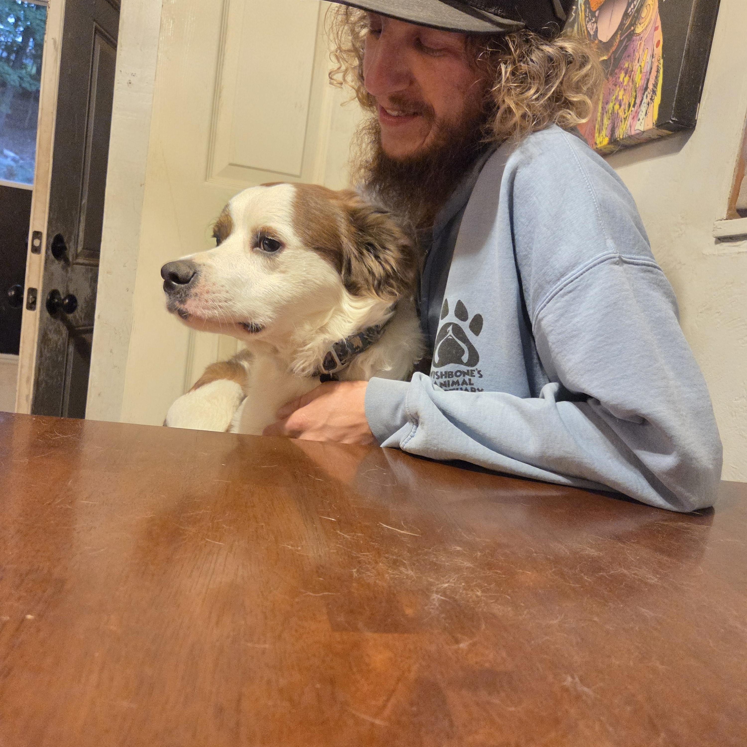 Bane, a Adoptable mixed breed in PITTSBURGH, PA image 2/6