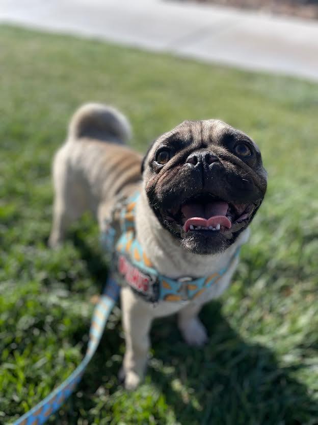 Leroy