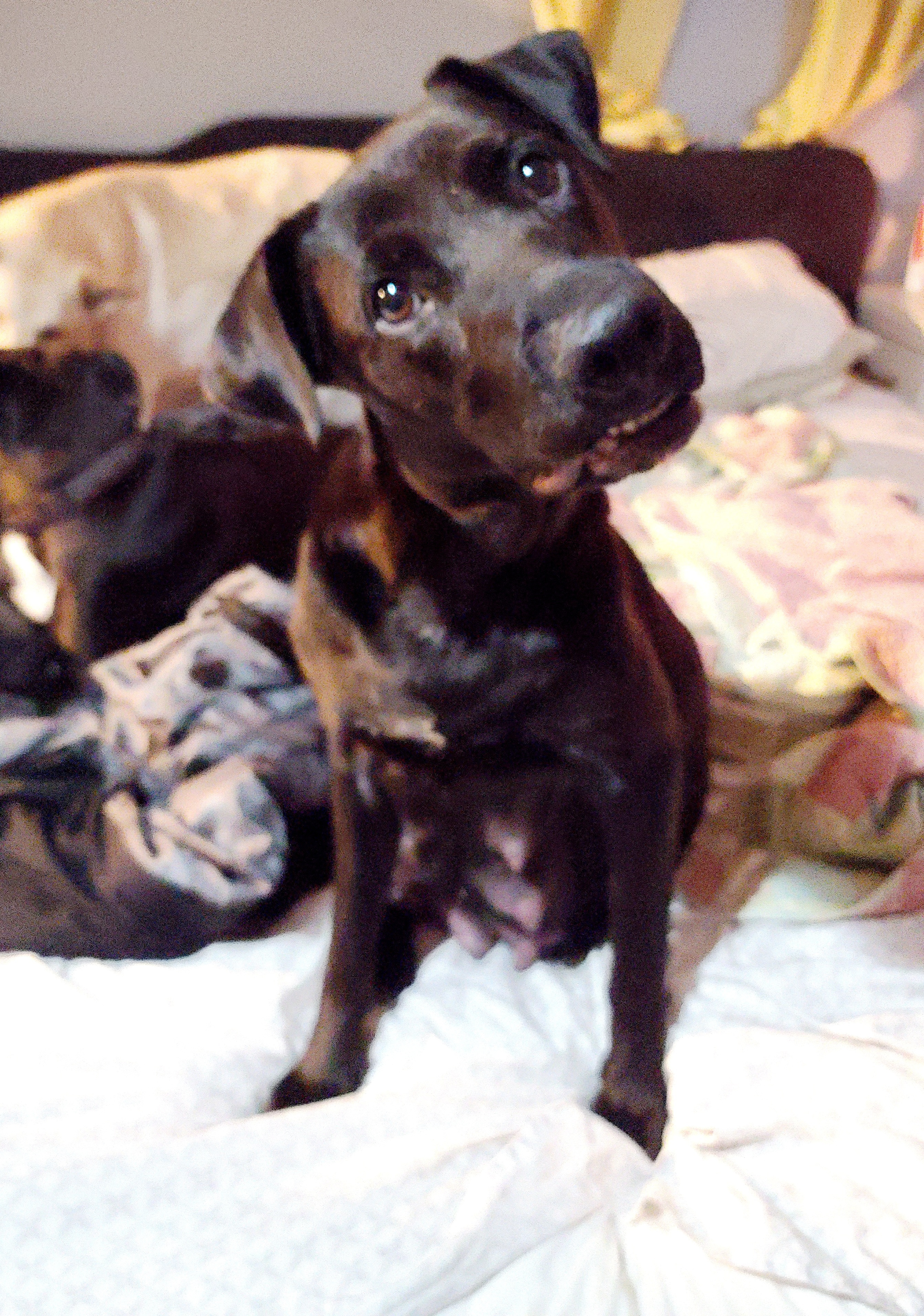 Lola photo 2