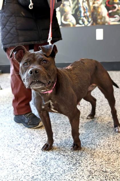 Baby — thumbnail 2