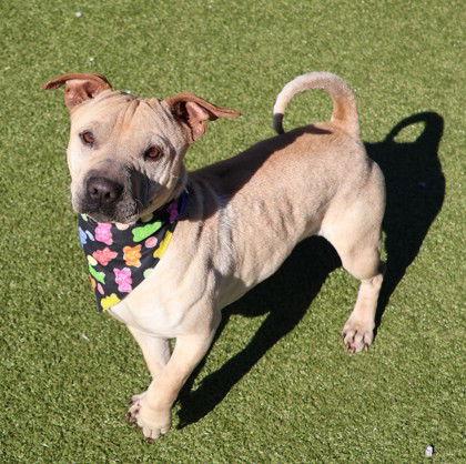 Ferb Athens thumbnail 3