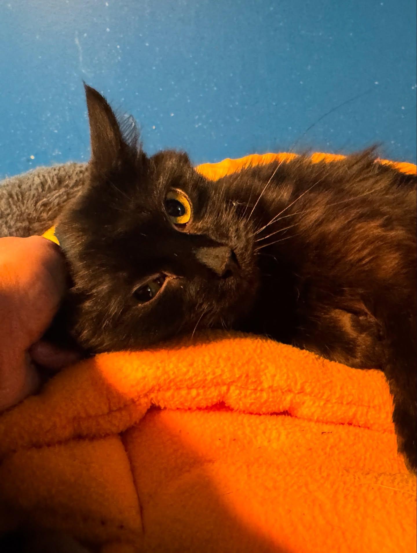 Luna