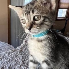 Rick