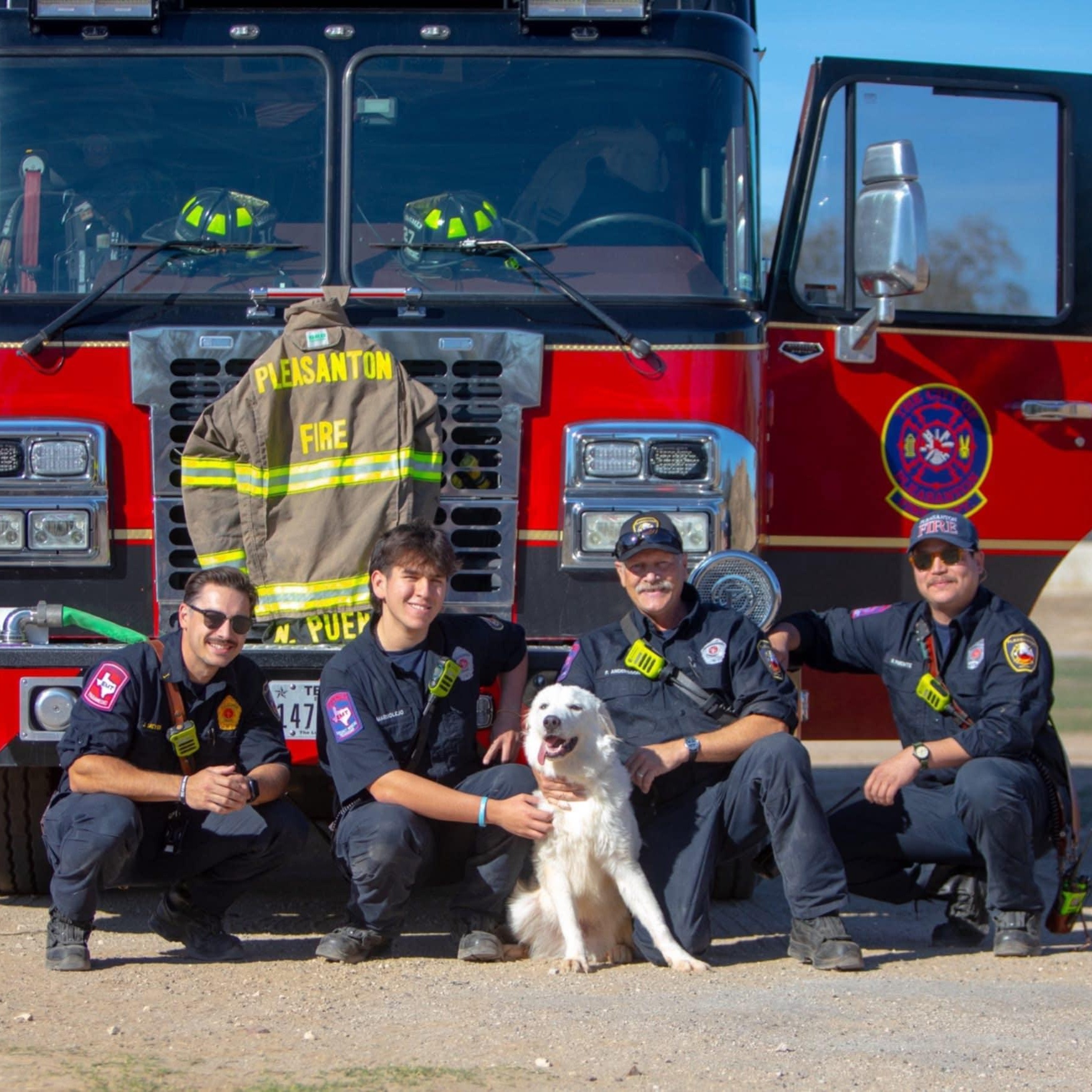 Enlarge Henry SAT, a Adoptable mixed breed in San Antonio, TX image 2/6
