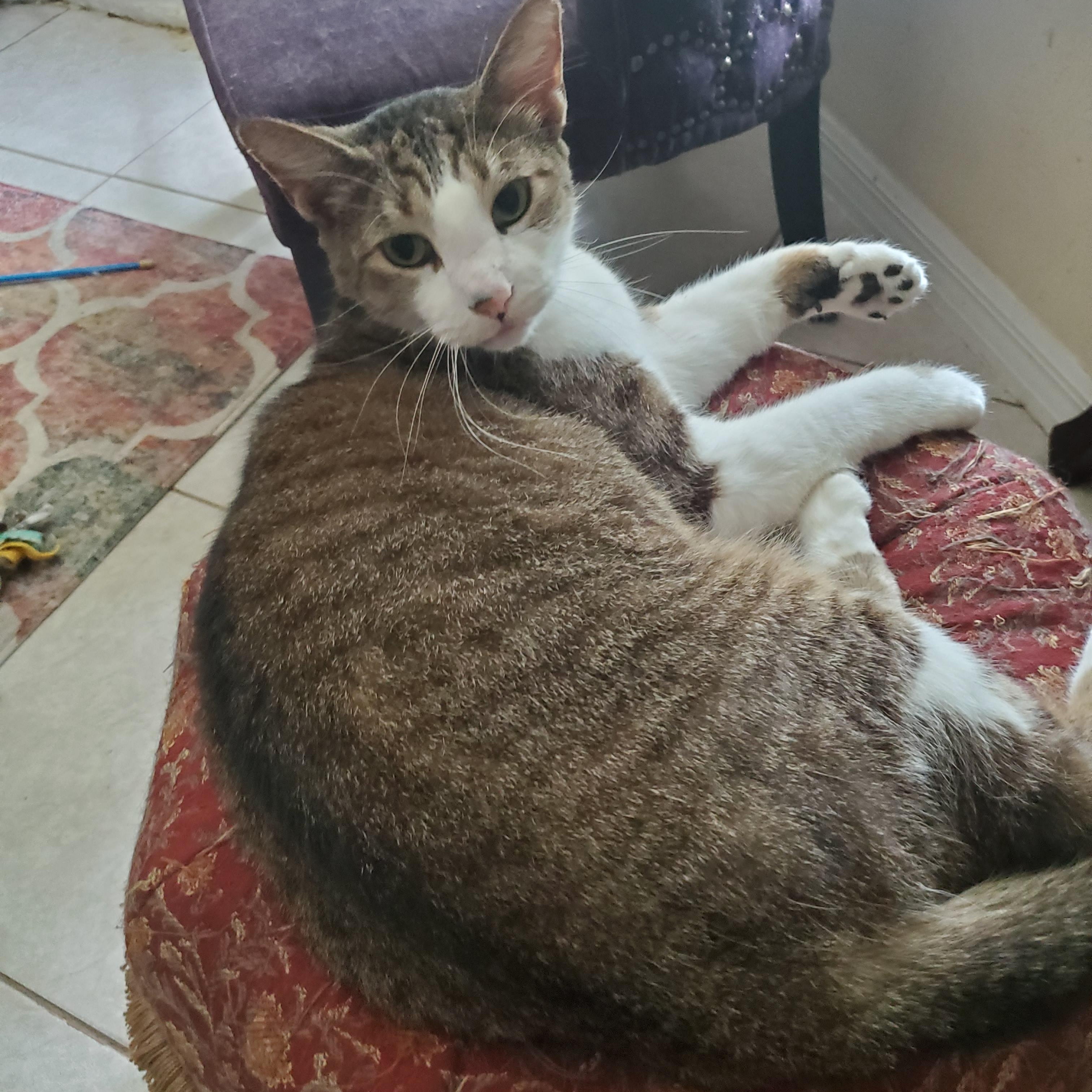 MaiTai