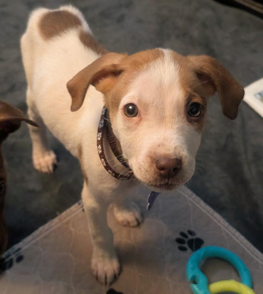 Bay of Biscay — thumbnail 2