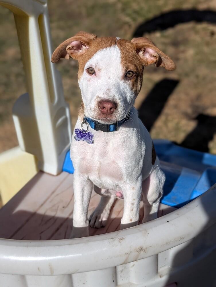 Bay of Biscay — thumbnail 3