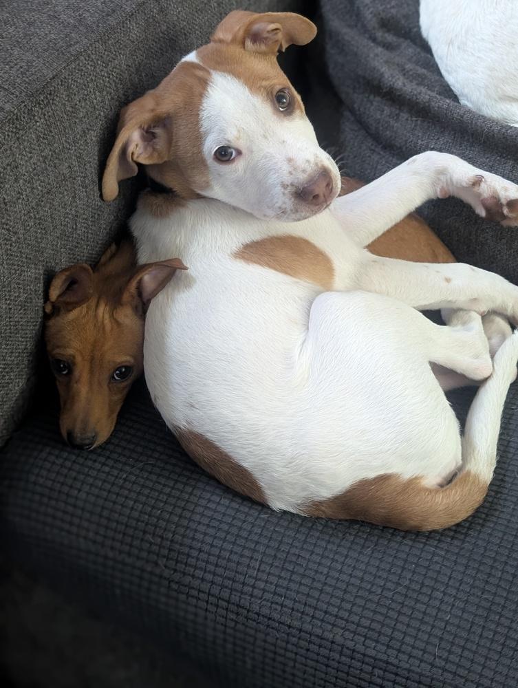 Bay of Biscay — thumbnail 4