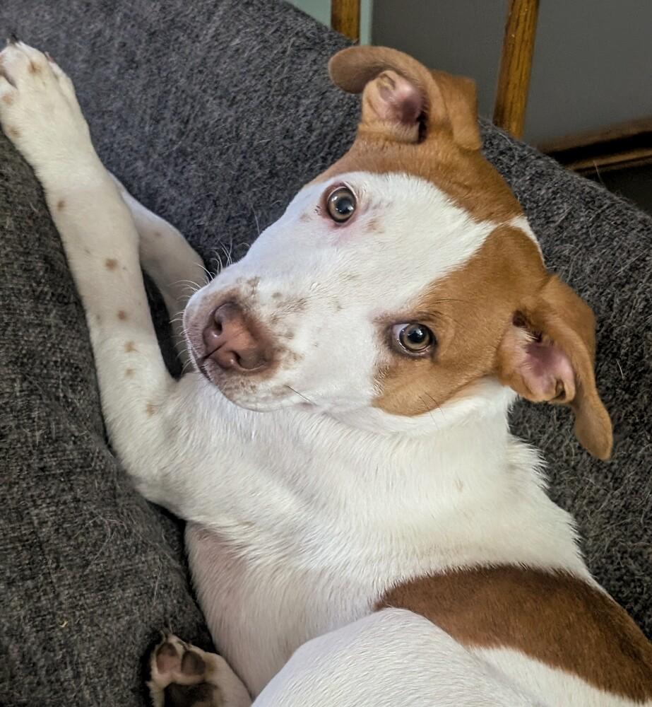 Bay of Biscay — thumbnail 5