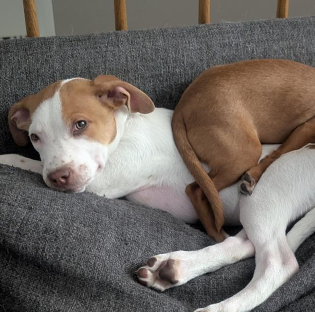 Bay of Biscay — thumbnail 6