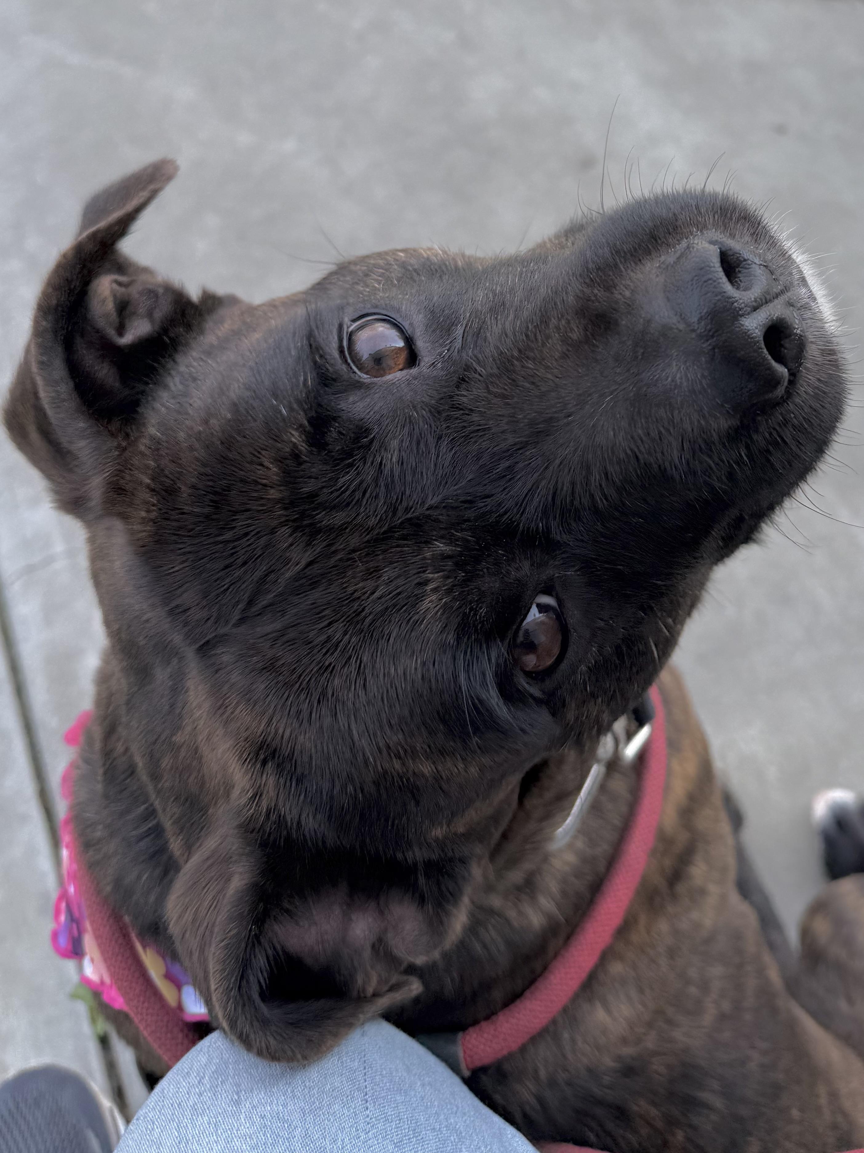 Matilda — thumbnail 3