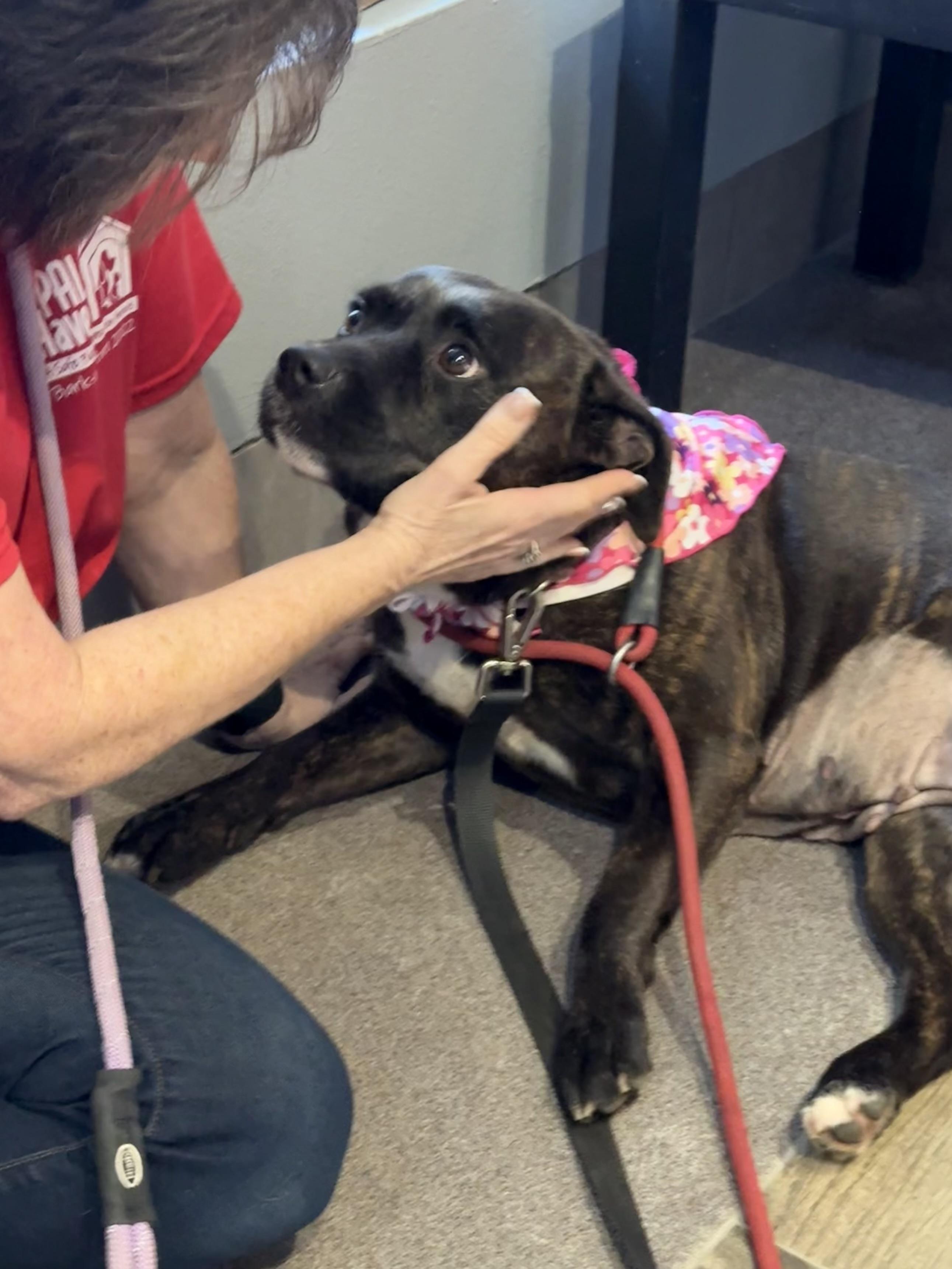 Matilda — thumbnail 5