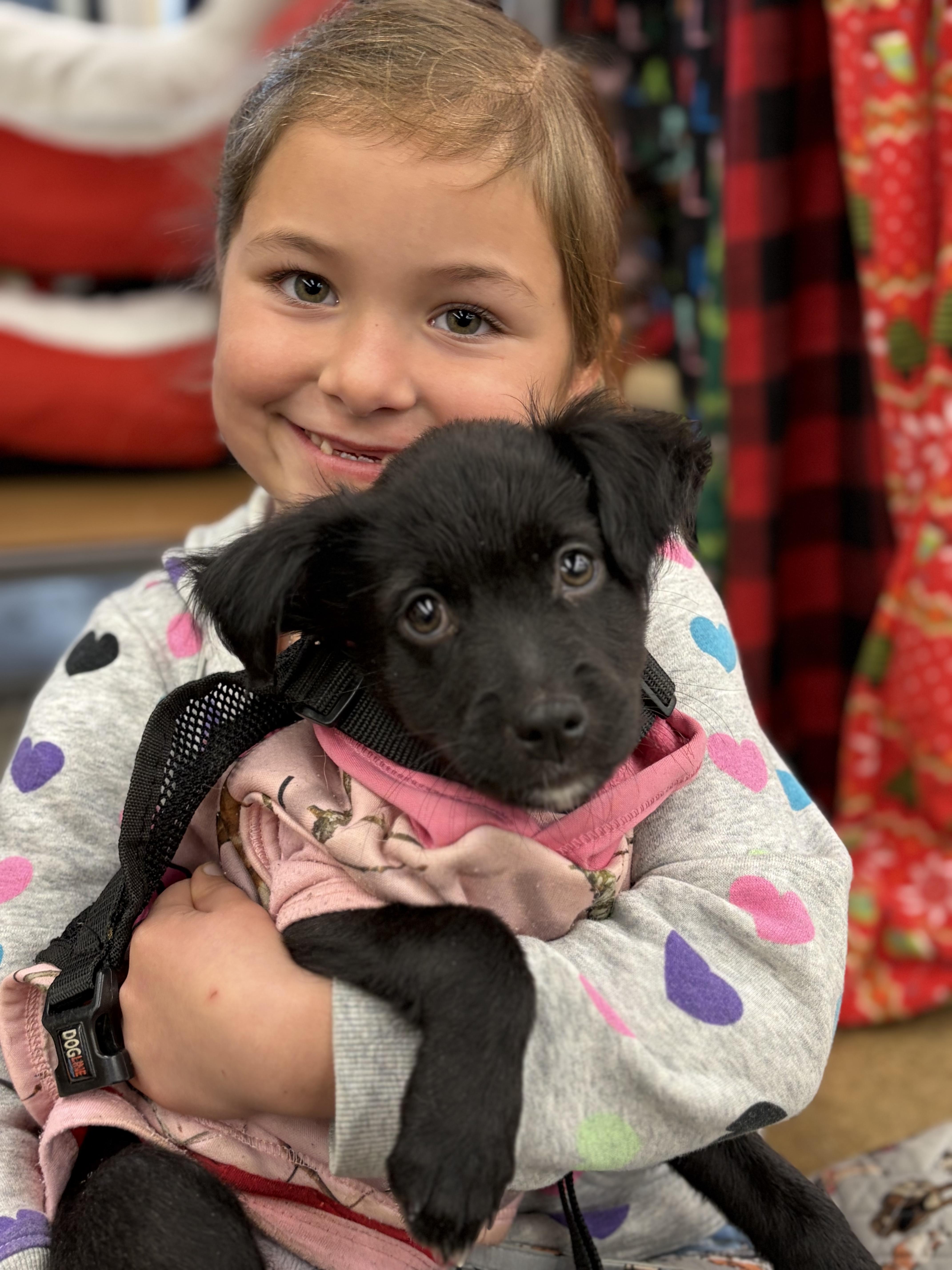 Jimmy, a Adoptable mixed breed in New York, NY image 2/5