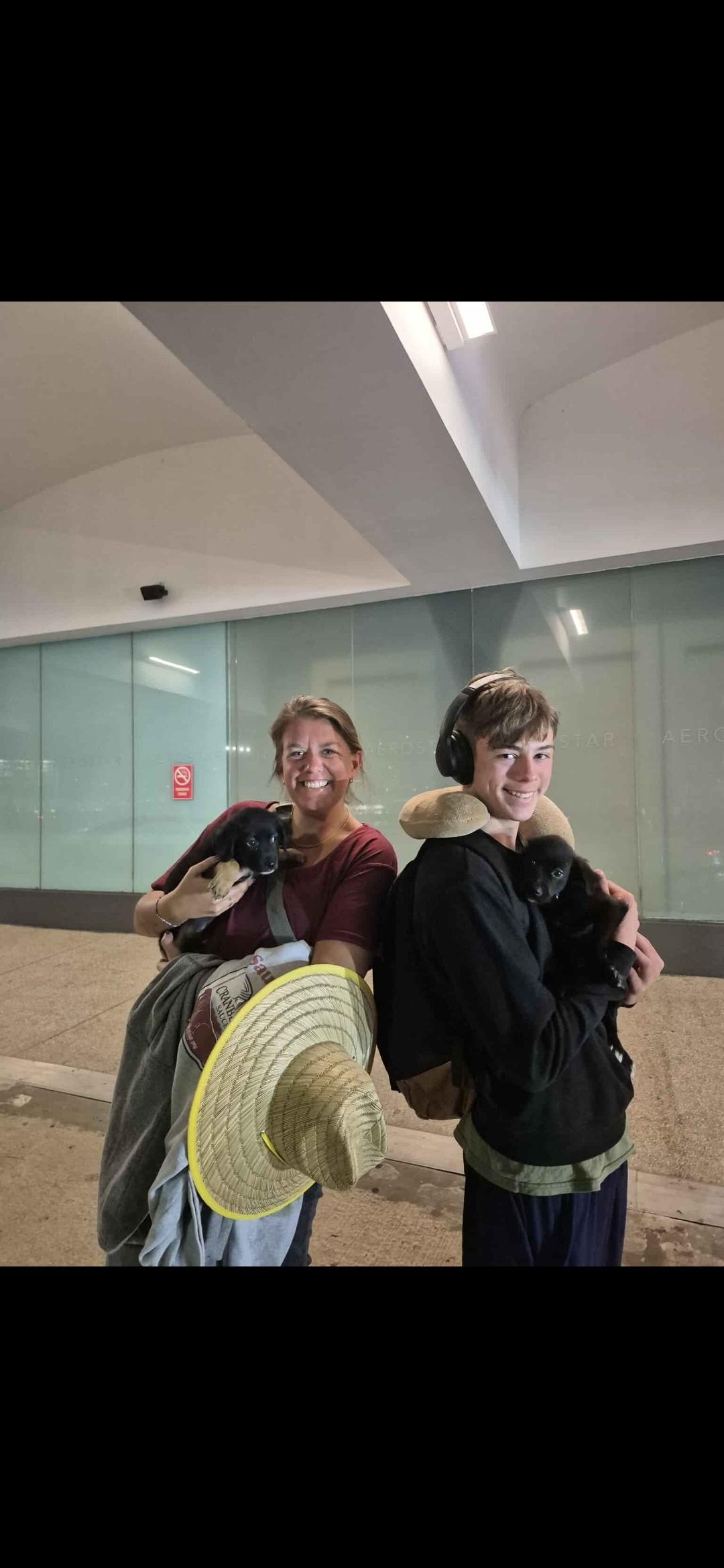 Jimmy, a Adoptable mixed breed in New York, NY image 5/5