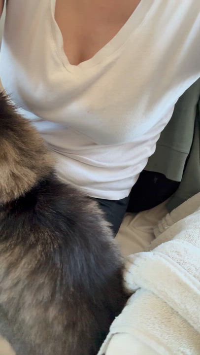 Enlarge Muppet - Lorin & Christopher, an adopted mixed breed in Brampton, ON video 4/6