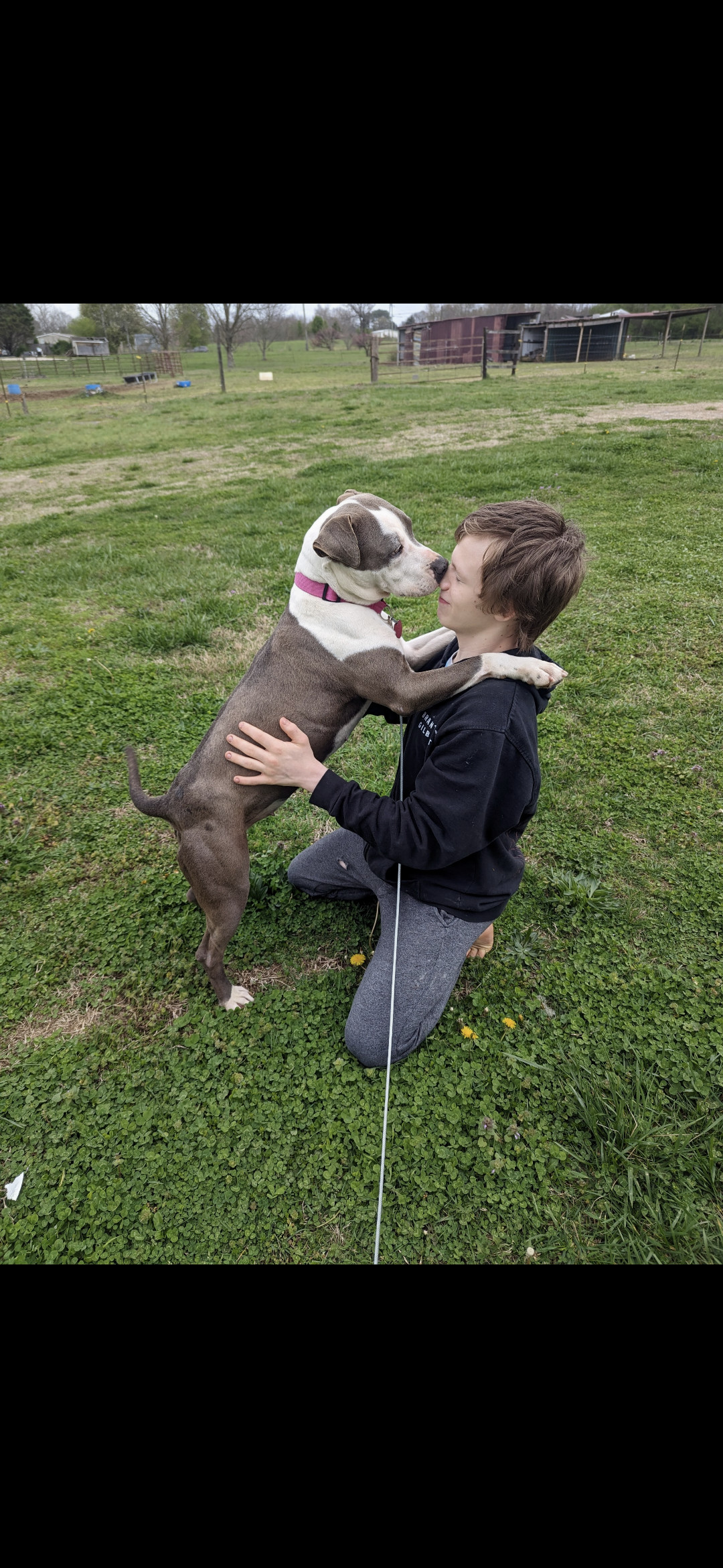 Enlarge Olivia  (NO ADOPTION FEE Home, Foster or Rescue Needed ASAP), a Adoptable mixed breed in Guntersville, AL image 5/5