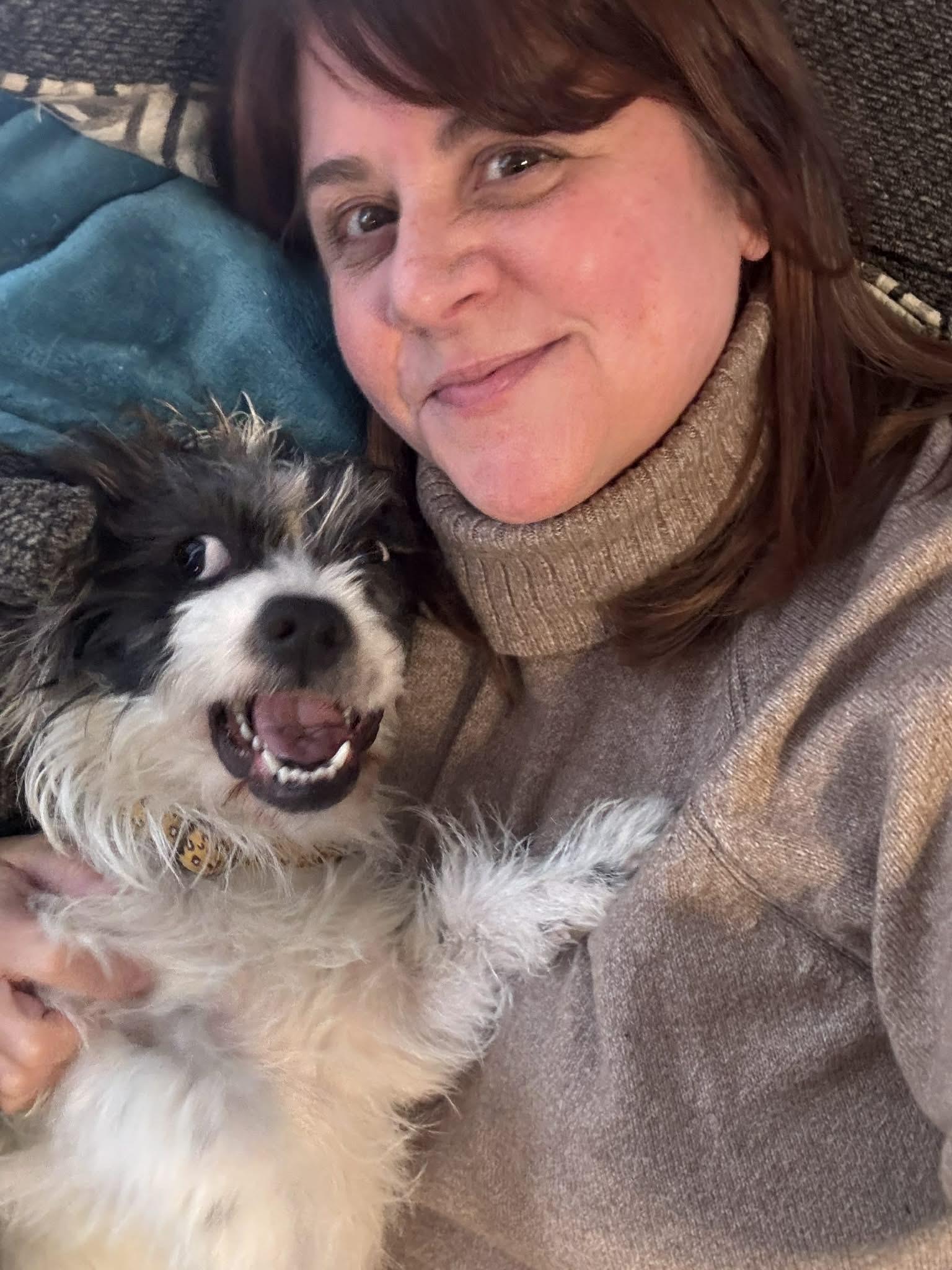 Mia, ADOPTABLE, Young Female Shih Tzu & Terrier.