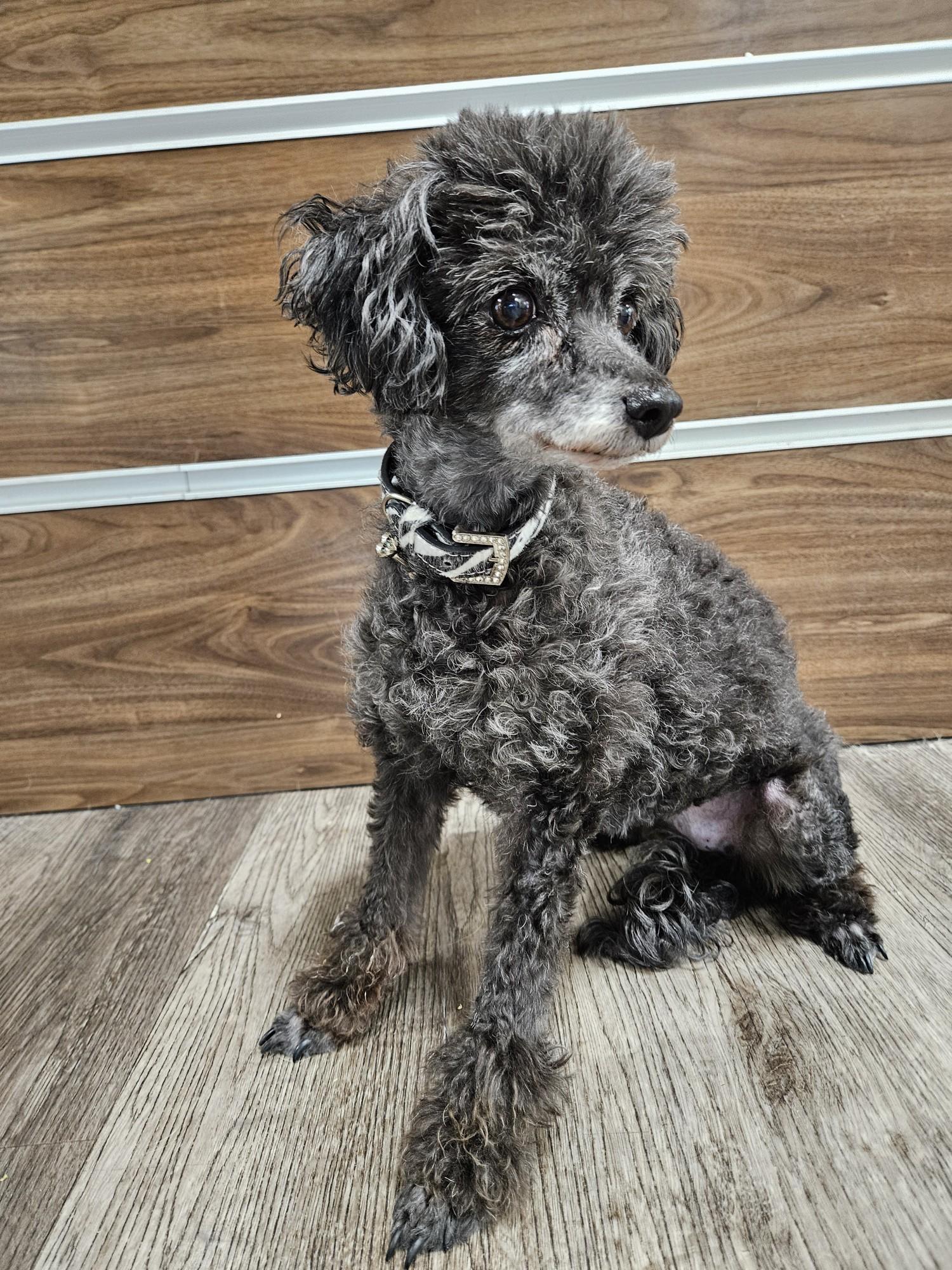 Legend Of Zelda And thumbnail 5