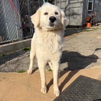 Lorelei — thumbnail 2