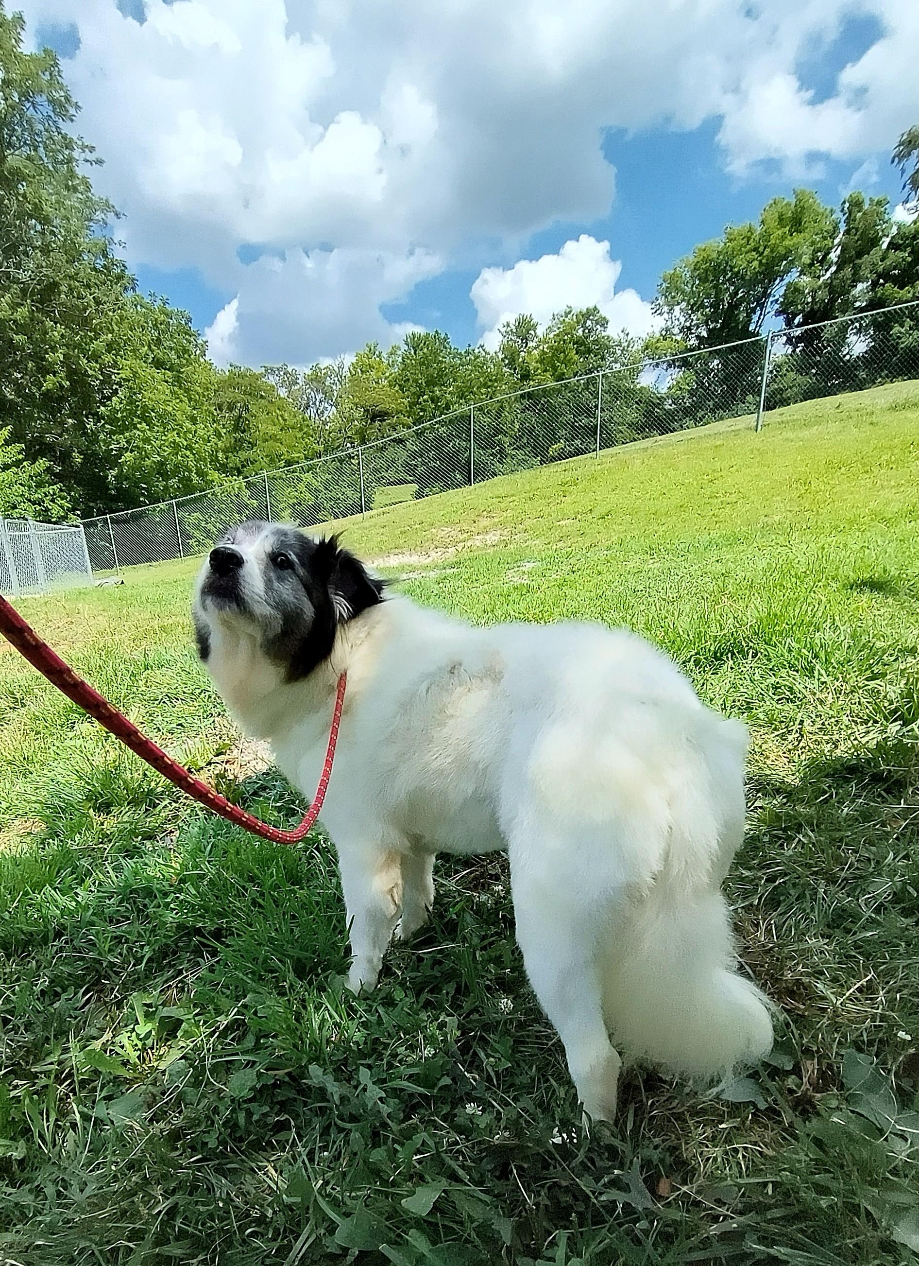 Agnes, Senior Female unknown