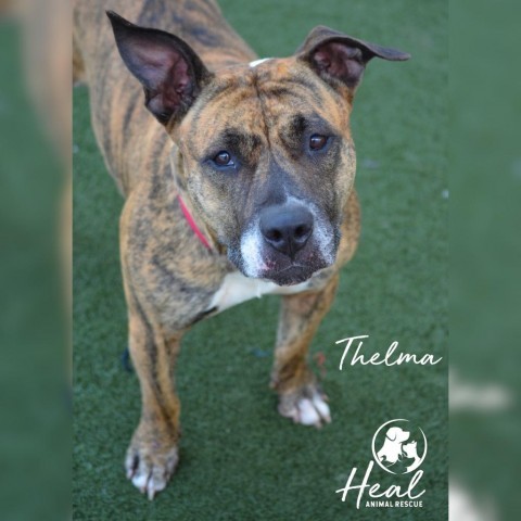 Thelma photo 1