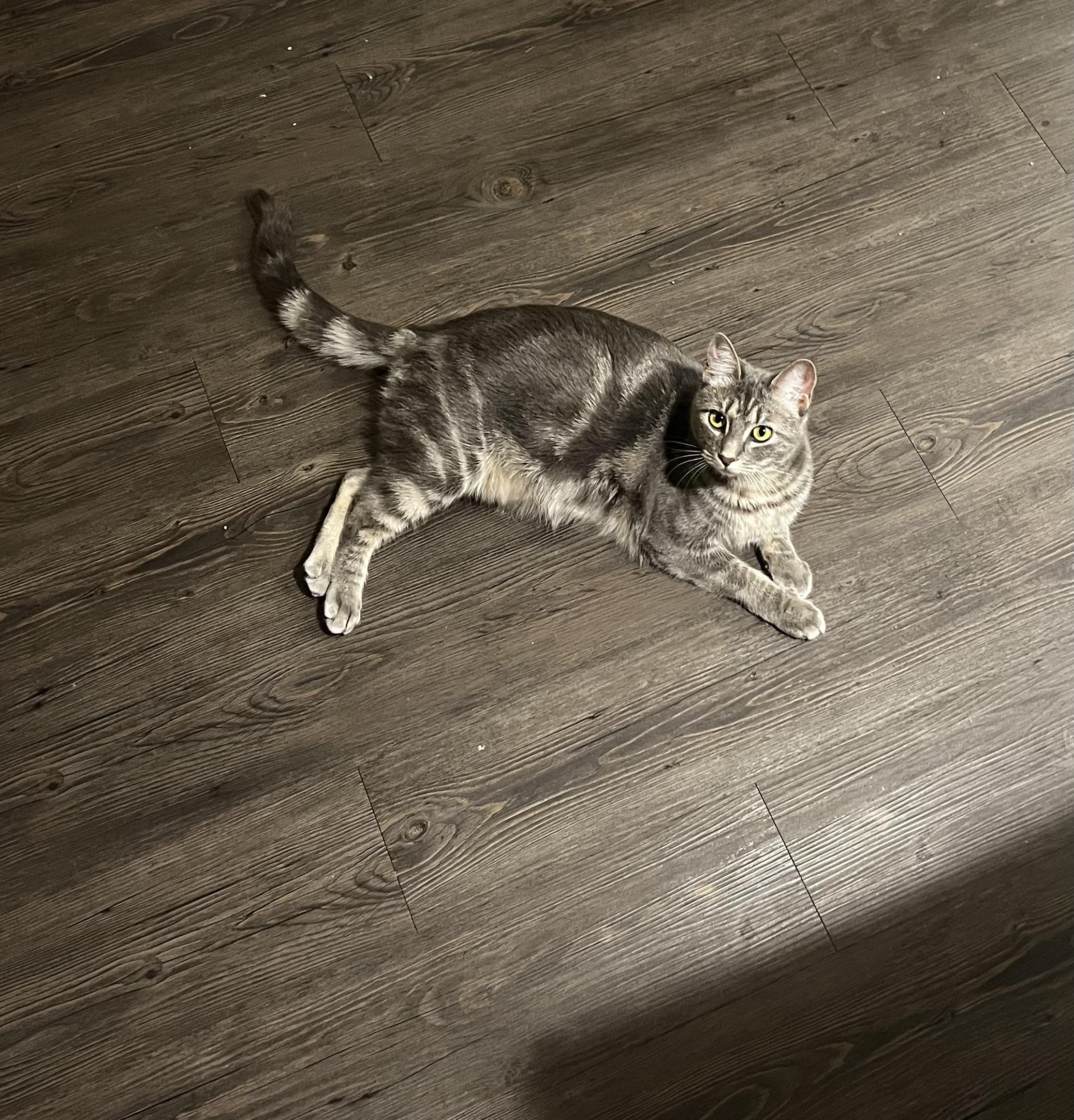 Bernoulli & Maggie photo 3