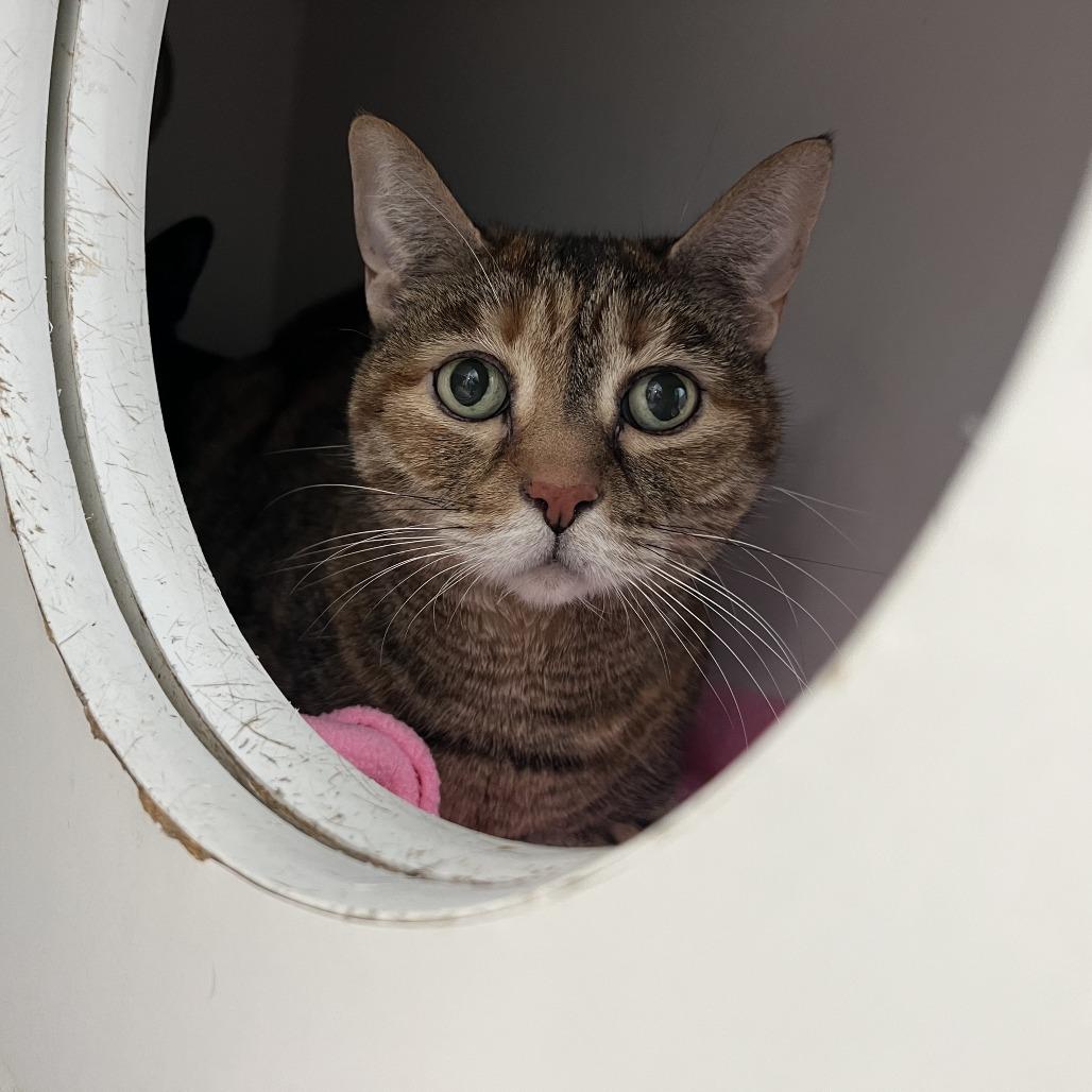 Sparkle — thumbnail 2