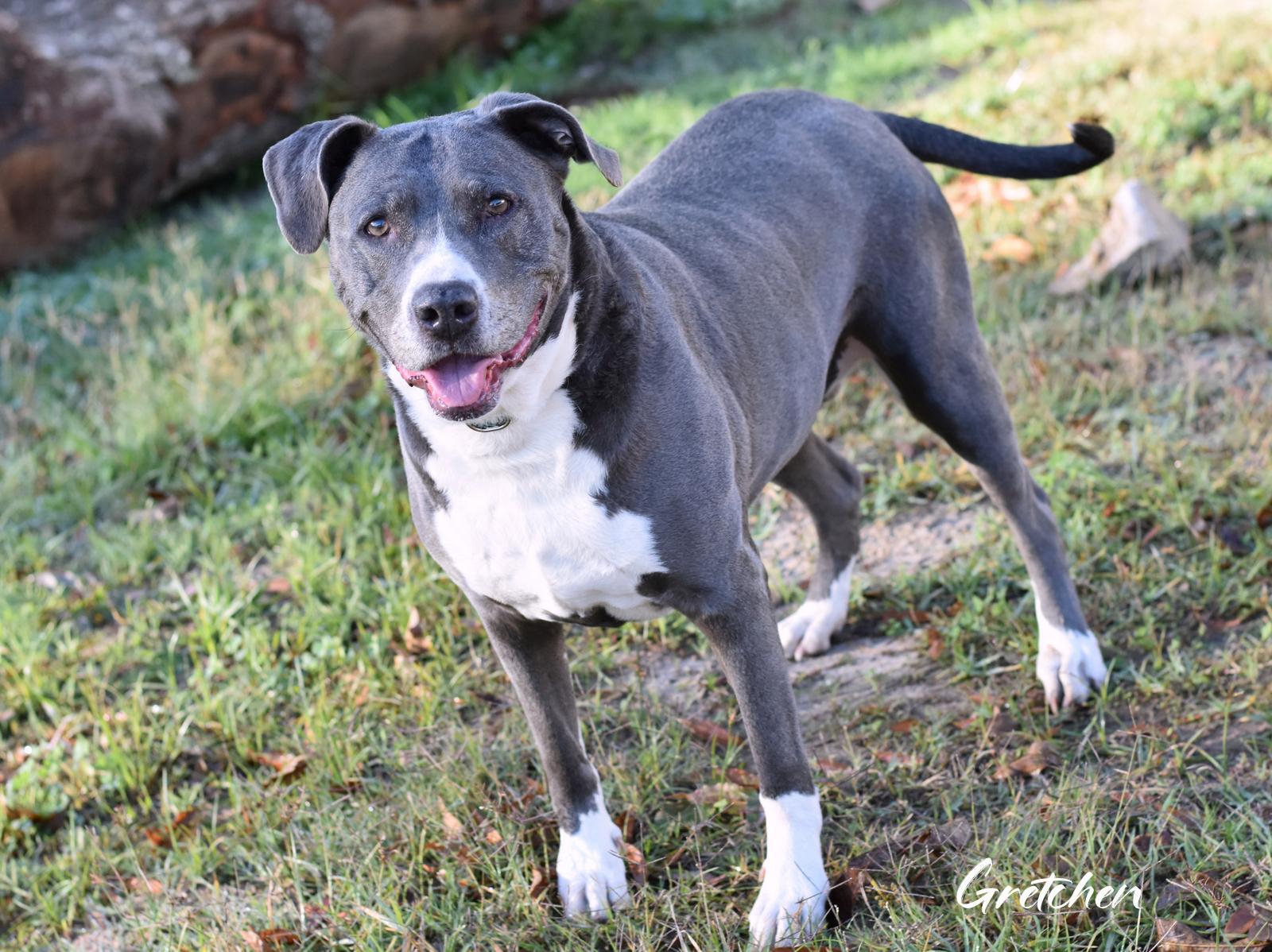 Maggie — thumbnail 6