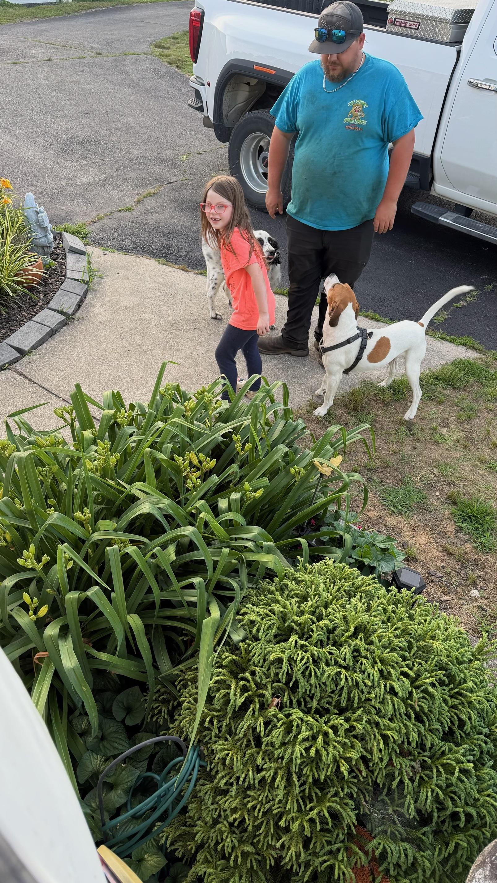 Enlarge Daisy, a ADOPTABLE mixed breed in Fredericksburg, VA image 5/5