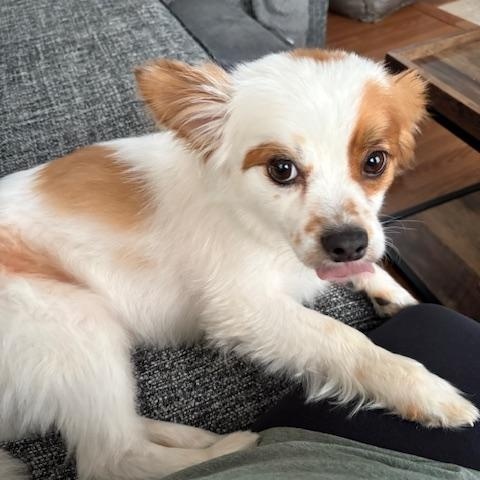 Cosmo