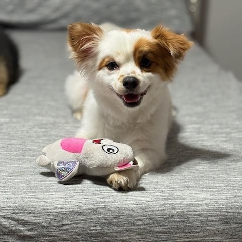 Cosmo