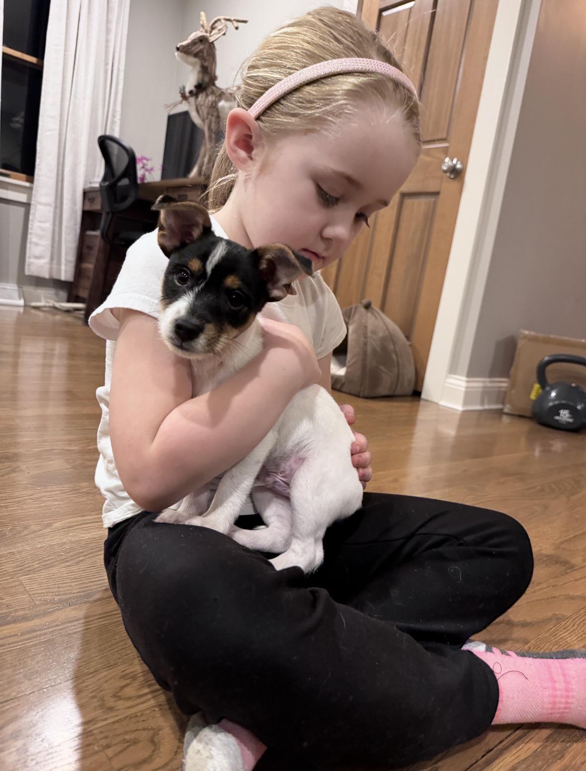 Enlarge Taytum, an adopted mixed breed in Taunton, MA image 2/5