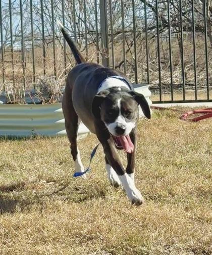 Lauren — thumbnail 2