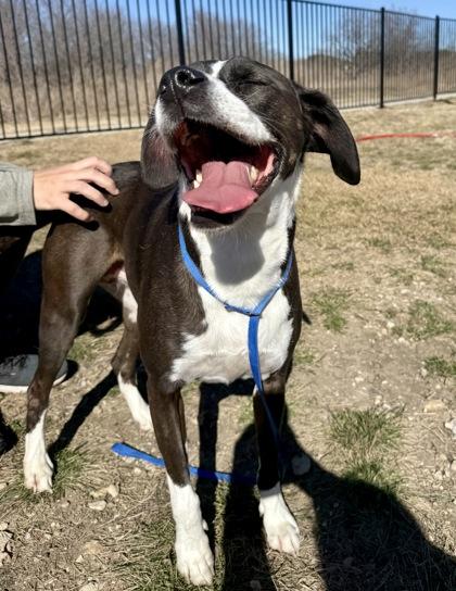 Lauren — thumbnail 3