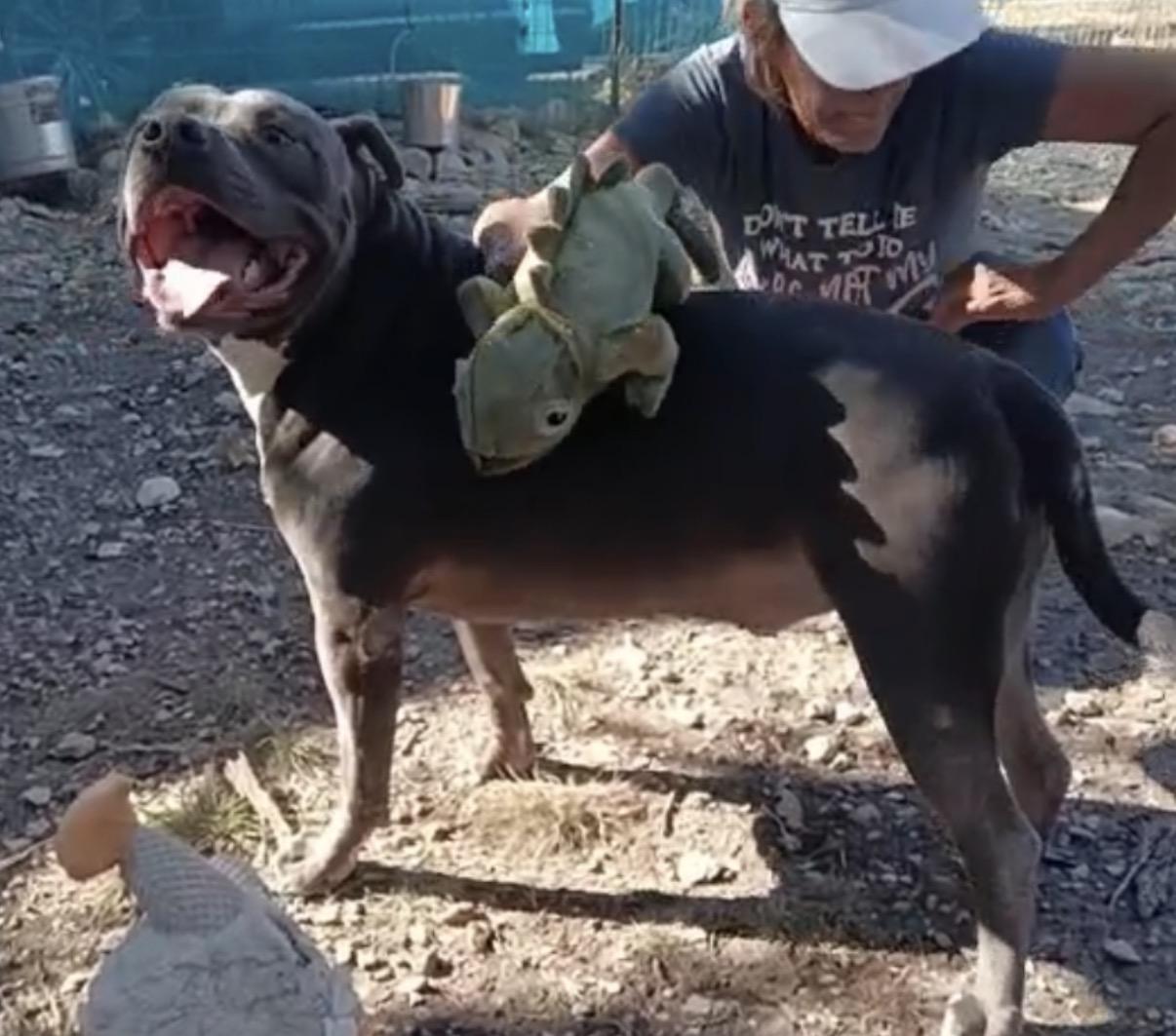 CESAR > Bleeding Heart Society — thumbnail 2