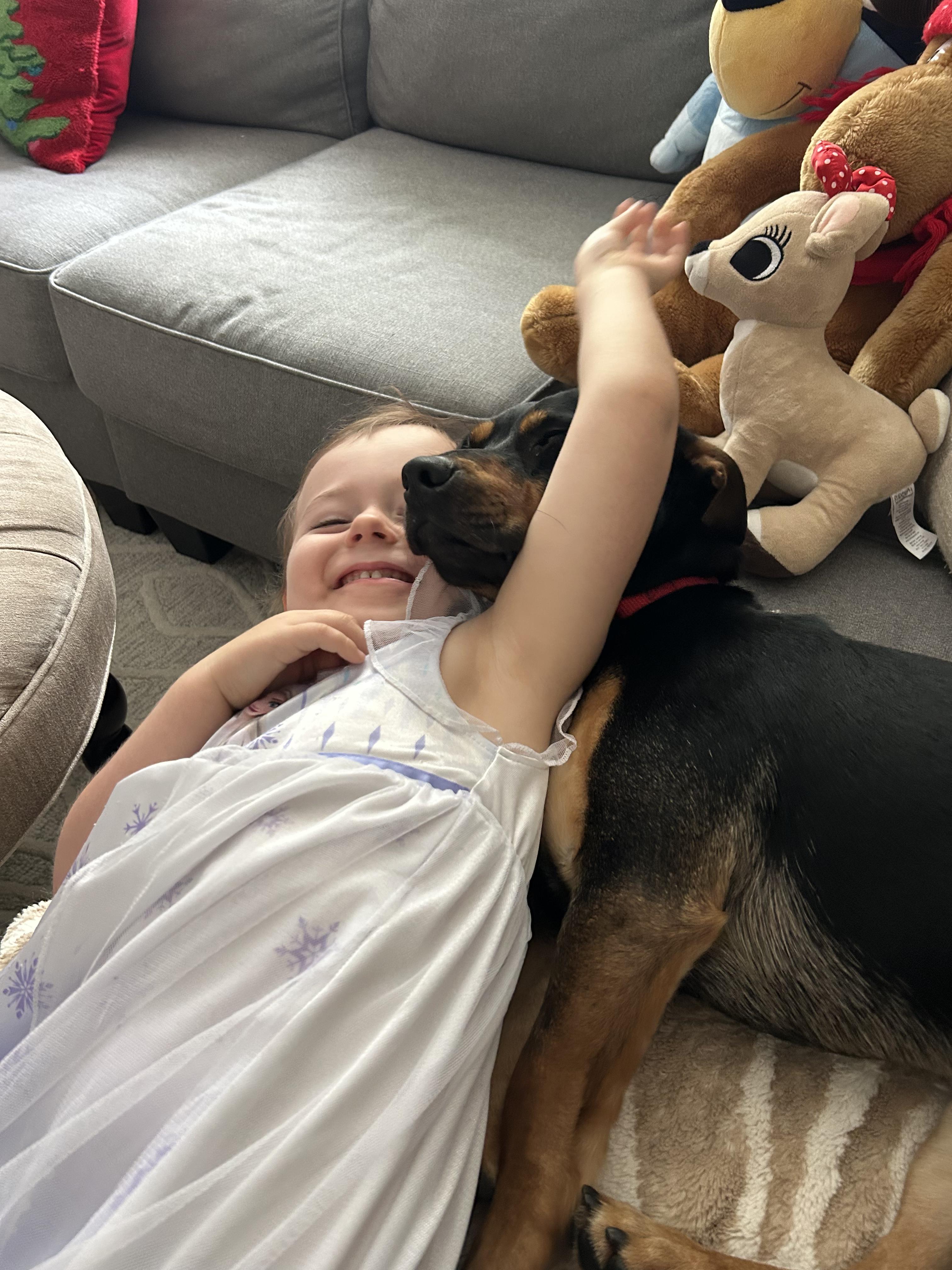 Arlo, an adopted mixed breed in Elmhurst, IL image 3/4