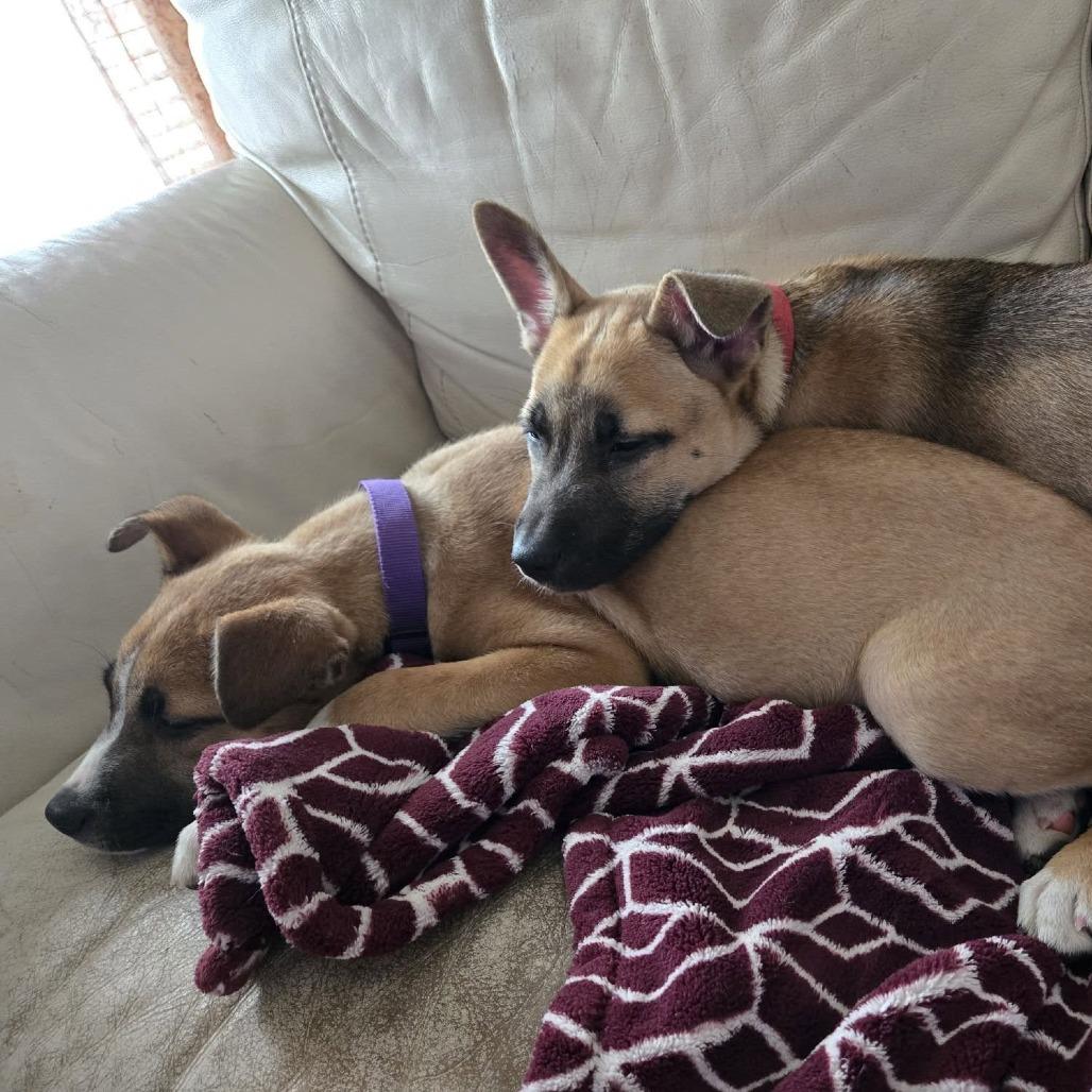 Kerry Pr thumbnail 2