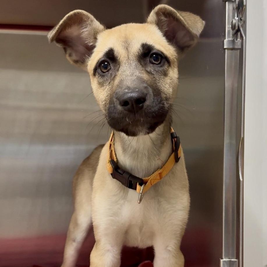 Kerry Pr thumbnail 3