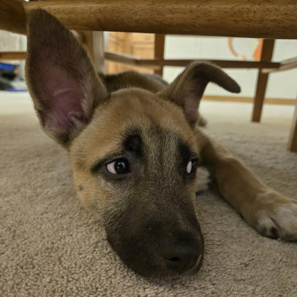 Kerry Pr thumbnail 4