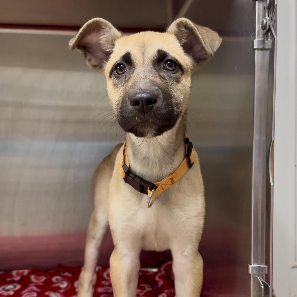 Kerry Pr thumbnail 5