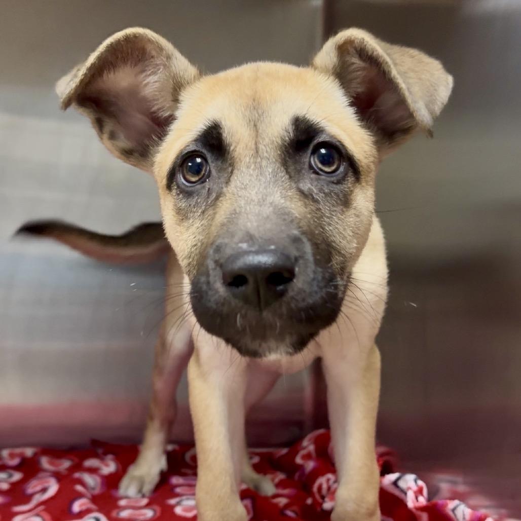 Kerry Pr thumbnail 6