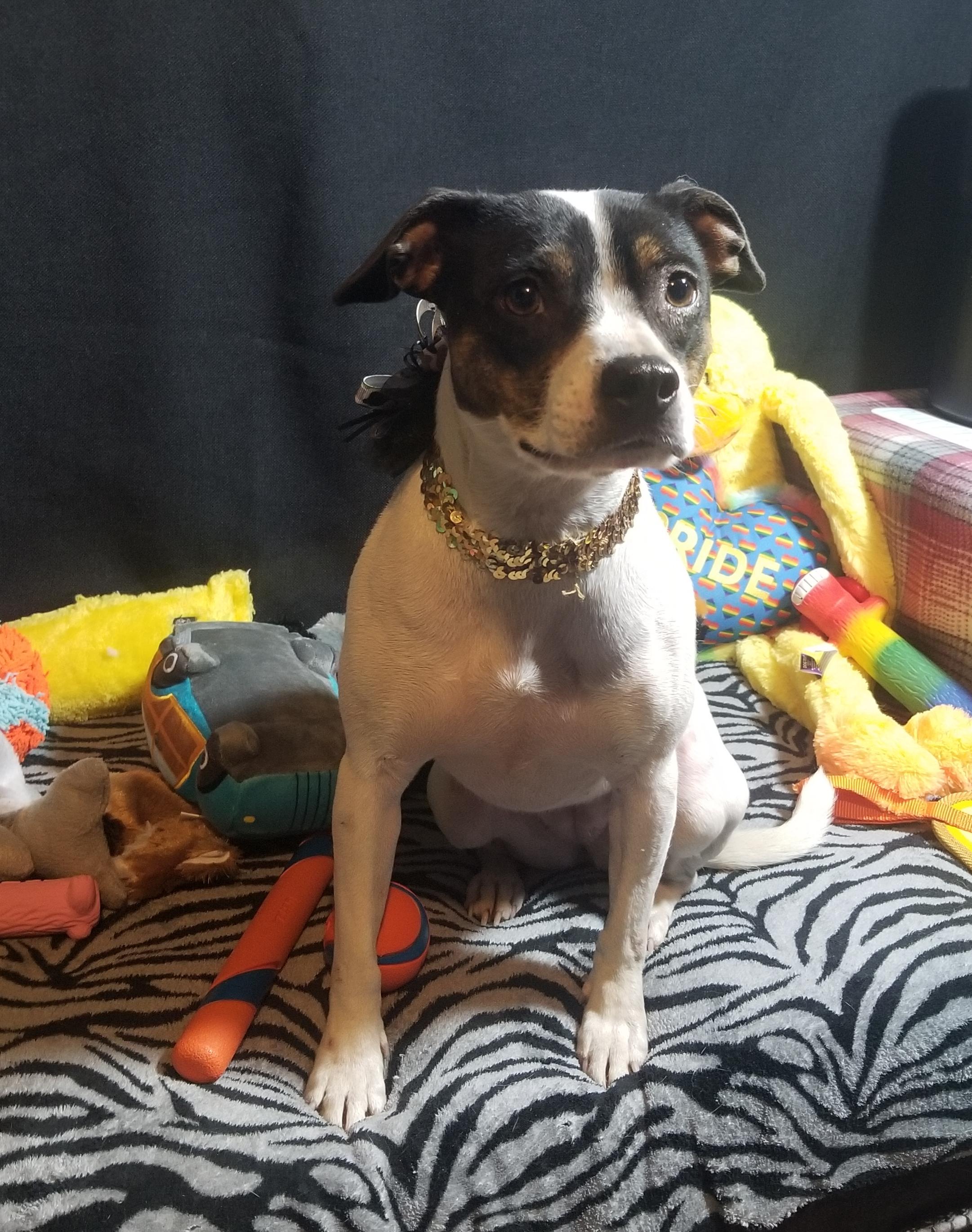 Maisey aka Big sissy photo 5