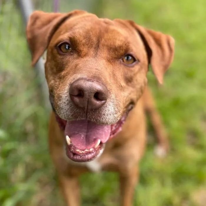 Heath — thumbnail 3