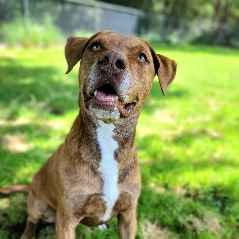 Heath — thumbnail 5