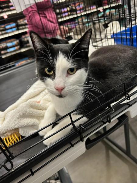 Ed & Ralph thumbnail 3